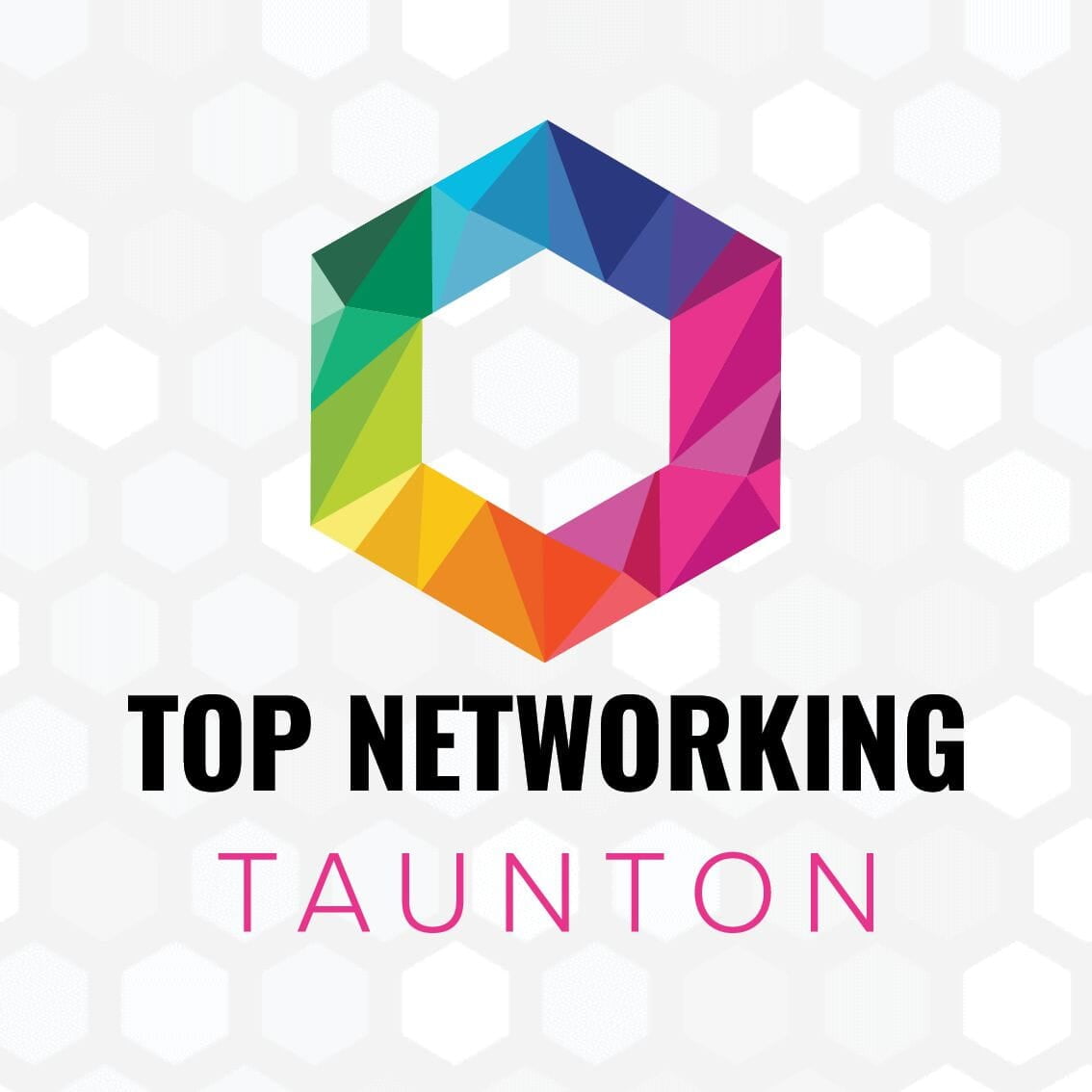 Top Networking Taunton Logo